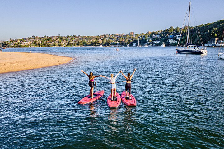 Guided Step-Up Paddle Board Tour of Narrabeen Lagoon - Photo 1 of 23