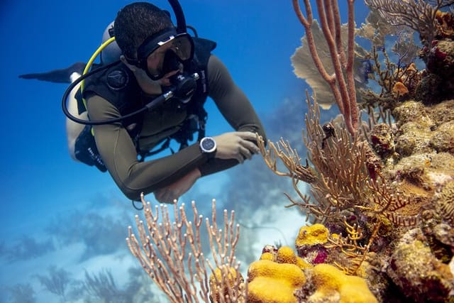 Half-Day Private Discover Dive at Australia's Iconic Beach - Photo 1 of 6