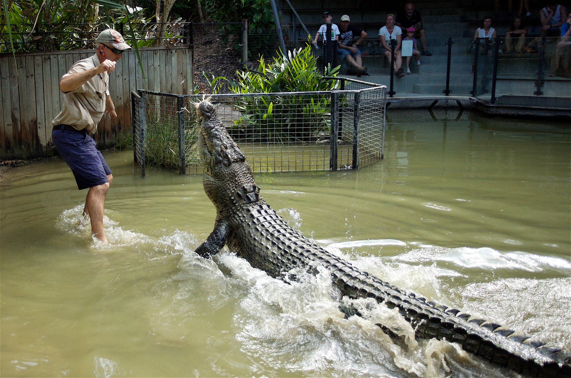 Hartley's Crocodile Adventures Admission - Photo 1 of 10