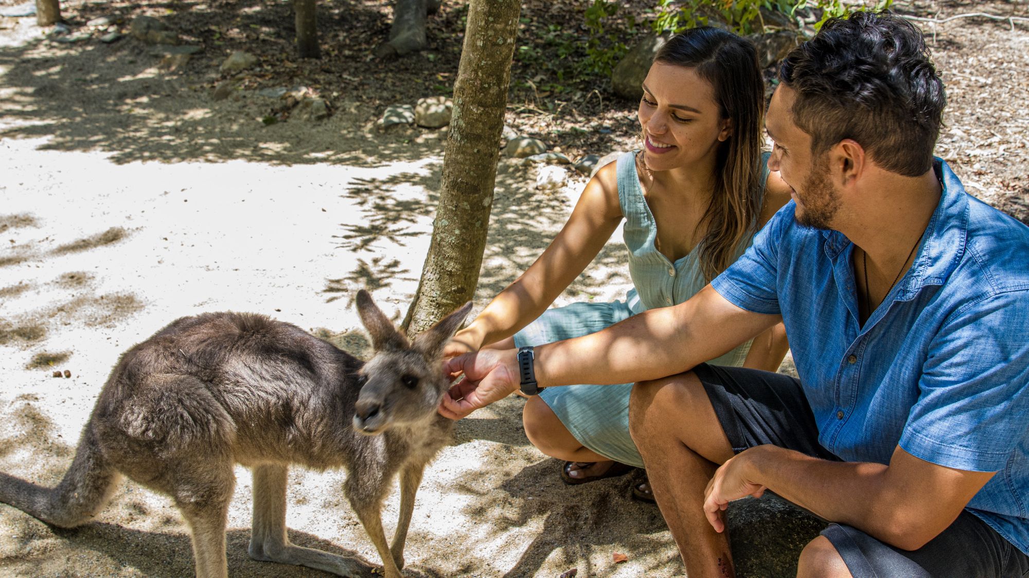 Great Australian Wildlife Experience Multi-Attraction Pass - Photo 1 of 8