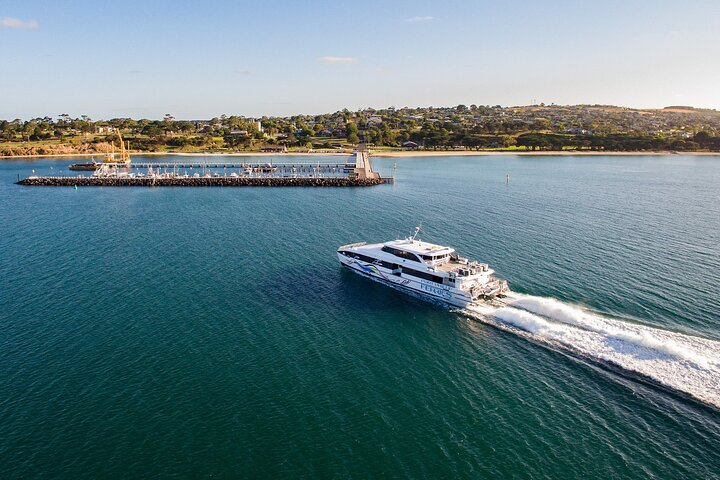 Hop On Hop Off Bellarine - includes Docklands Ferry Departure - Photo 1 of 8