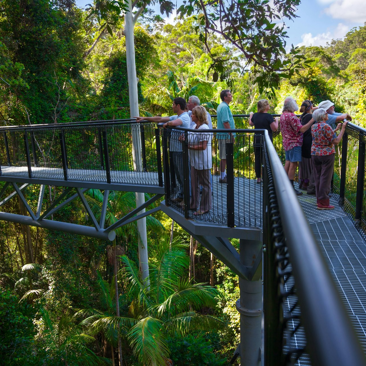 Hop on Hop Off Bus - From Brisbane to Tamborine Mountain - Photo 1 of 4