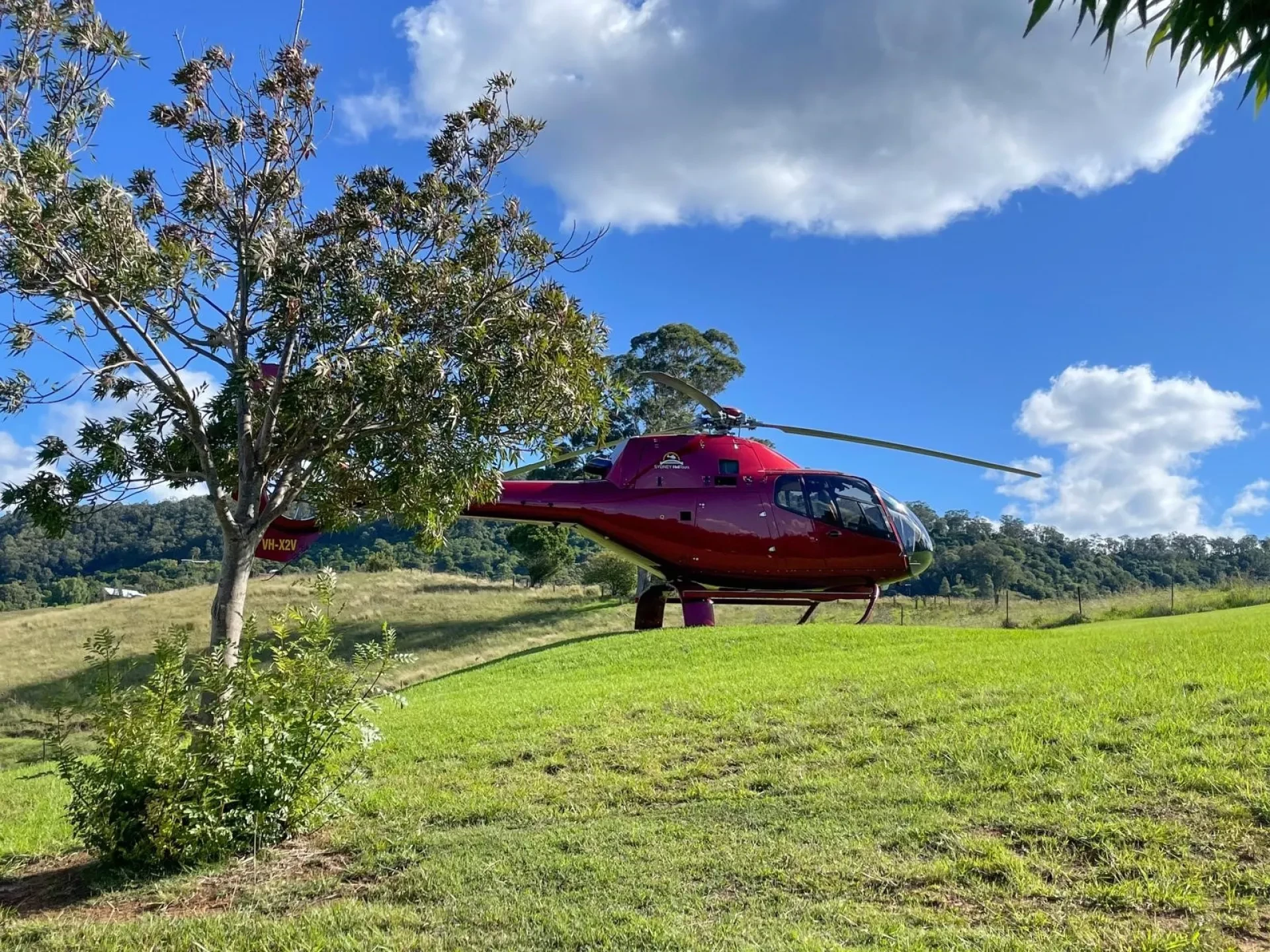 Hunter Valley Helicopter and Gourmet Lunch Tour from Sydney - Photo 1 of 8