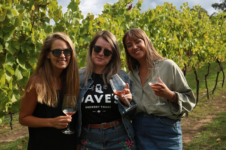 Wines and Vines with Dave's Hunter Valley Wine Tour