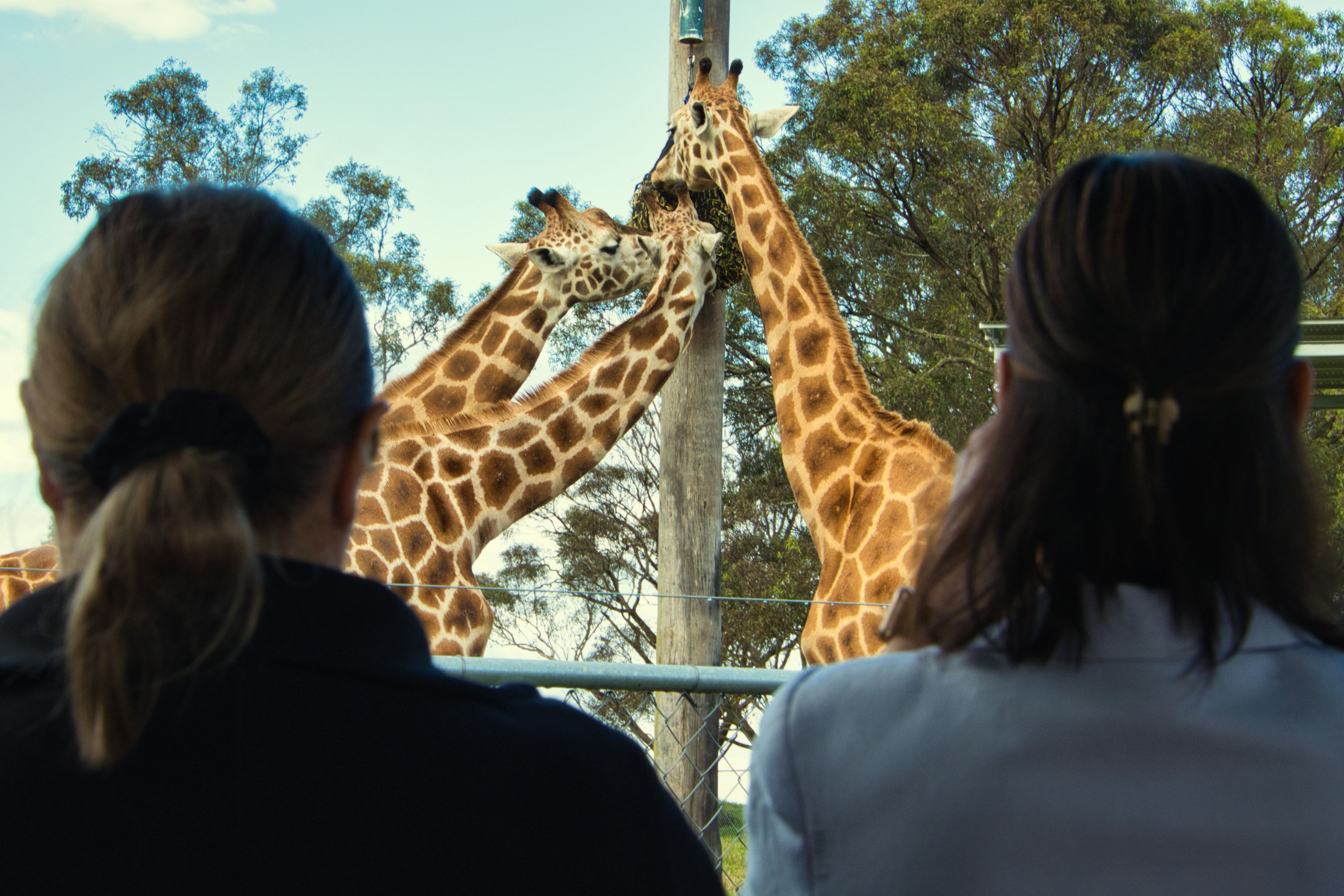 Hunter Valley Wildlife Park Entry Tickets - Photo 1 of 10