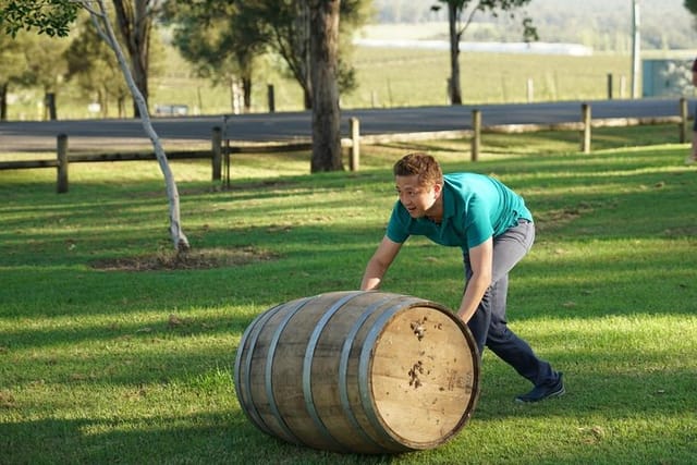 Hunter Valley Wine Barrel Rolling - Photo 1 of 6