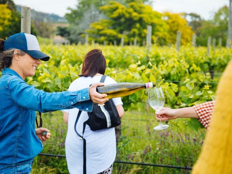 The Best of the Hunter Valley - Signature Winery Day Tour from Sydney - Photo 1 of 13