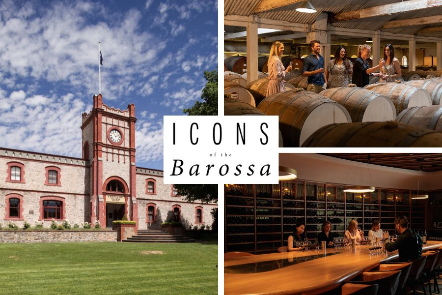 Icons of the Barossa: Self drive experience to three leading vineyards - Photo 1 of 10