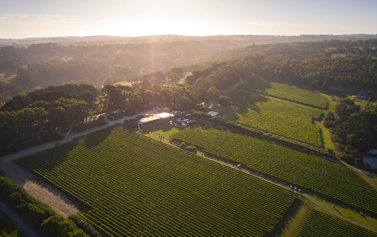 Icons of the Mornington Peninsula - Terroir to Table - Photo 1 of 9