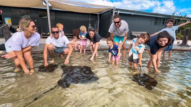 Shark and Ray Encounters at Irukandji Aquarium - Photo 1 of 11