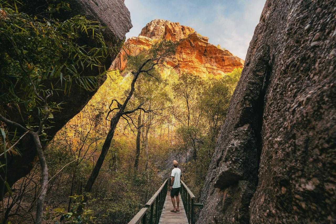 Kakadu to Litchfield 4WD Camping 3 Day - Basic Swag from Darwin - Photo 1 of 19