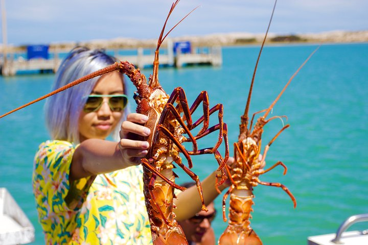 Kalbarri Rock lobster Pot Pull Tour in Kalbarri - Photo 1 of 9