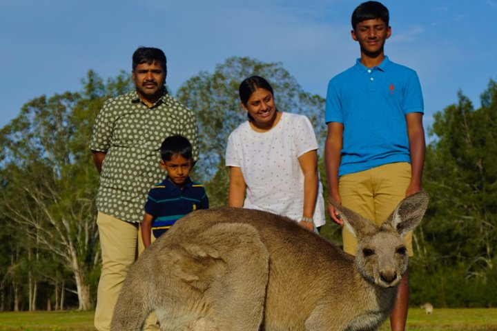 Kangaroo Watching & Koala Spotting Private Tour - Photo 1 of 8