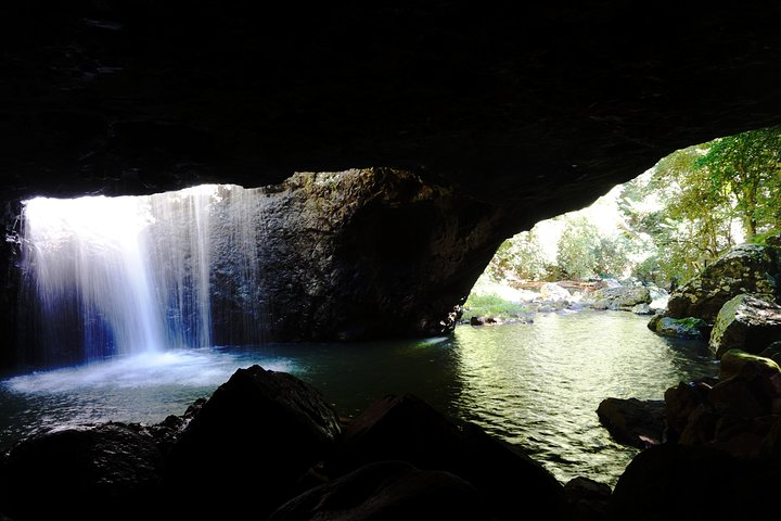 Kangaroos, Rainforest & Waterfalls Experience - Small Group - Photo 1 of 11