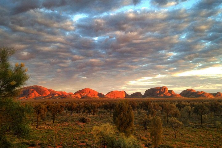 Kata Tjuta Small-Group Tour Including Sunrise and Breakfast - Photo 1 of 6