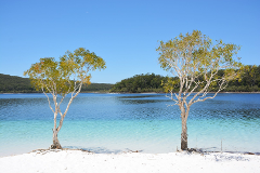 K'gari 2 Day/1 Night Tour Departing Hervey Bay - Double/Twin Occupancy - Photo 1 of 6