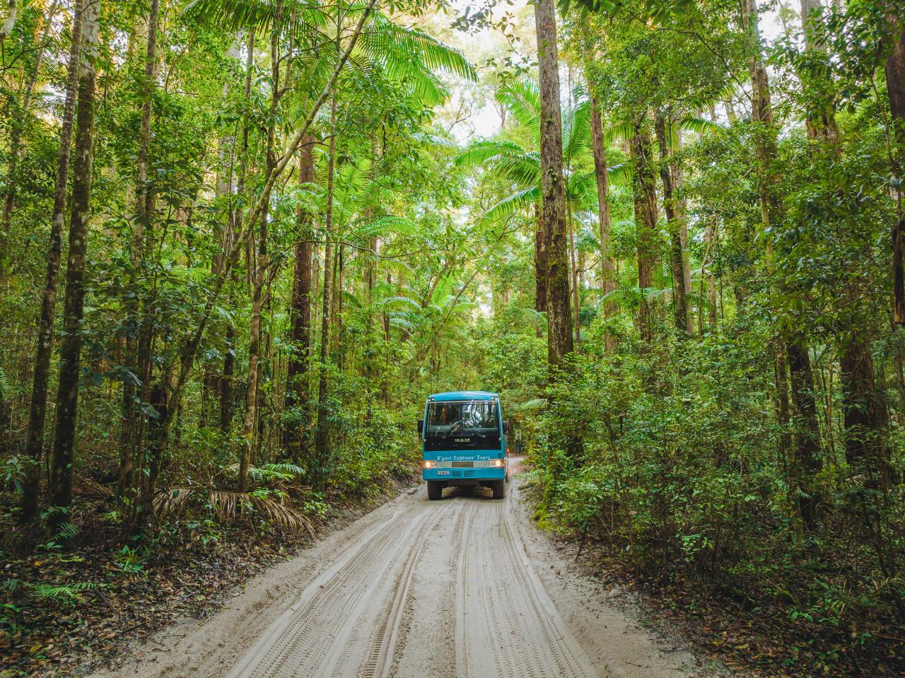 K'gari Experience 4 Day/3 Night Tour (ex Hervey Bay) - Double/Twin Occupancy - Photo 1 of 6