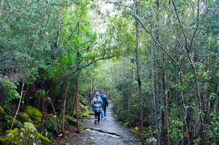 Catch the bus to the summit of kunanyi / Mount Wellington, then walk back to Hobart though a variety of alpine landscapes.