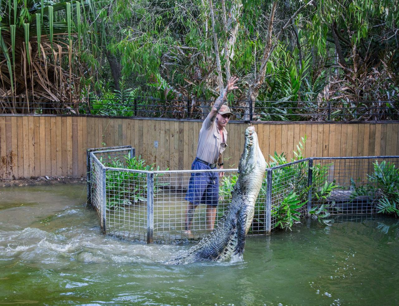 Kuranda: Scenic Rail, Skyrail and Hartley's Crocodile Adventures Q-0850 S-1130 XC - Photo 1 of 15