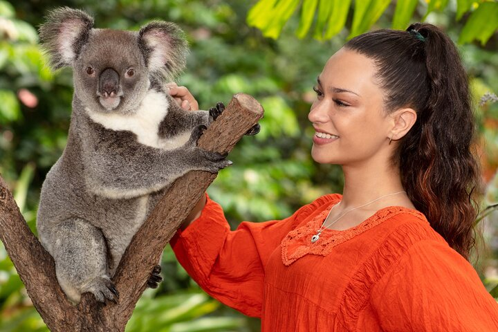 Kuranda Wildlife Experience Deluxe Multi Attraction Pass - Photo 1 of 6