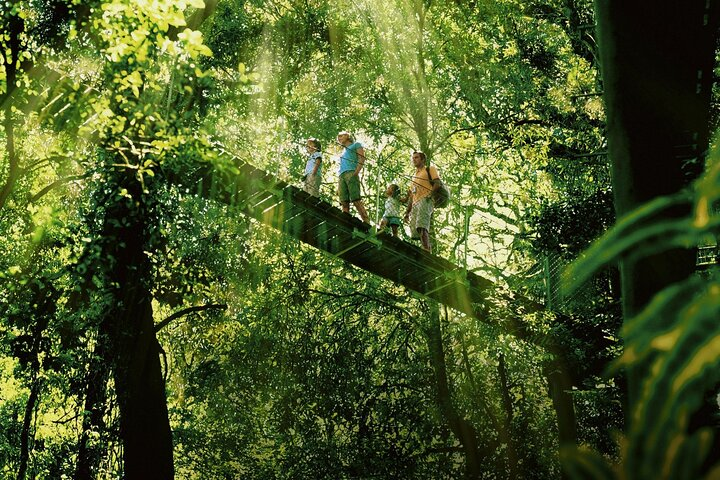 Tree Top Canopy Walk