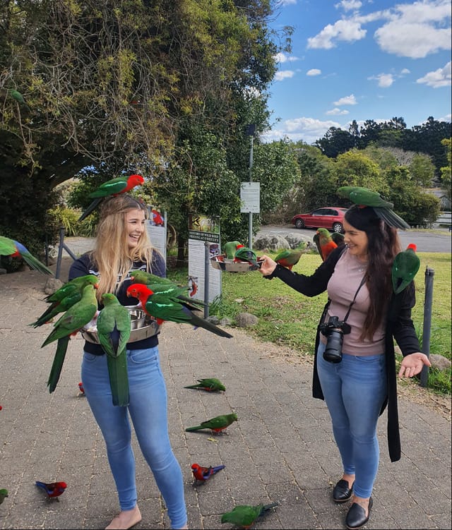 Lamington National Park, O'Reilly's & Vineyard Tour - Photo 1 of 12