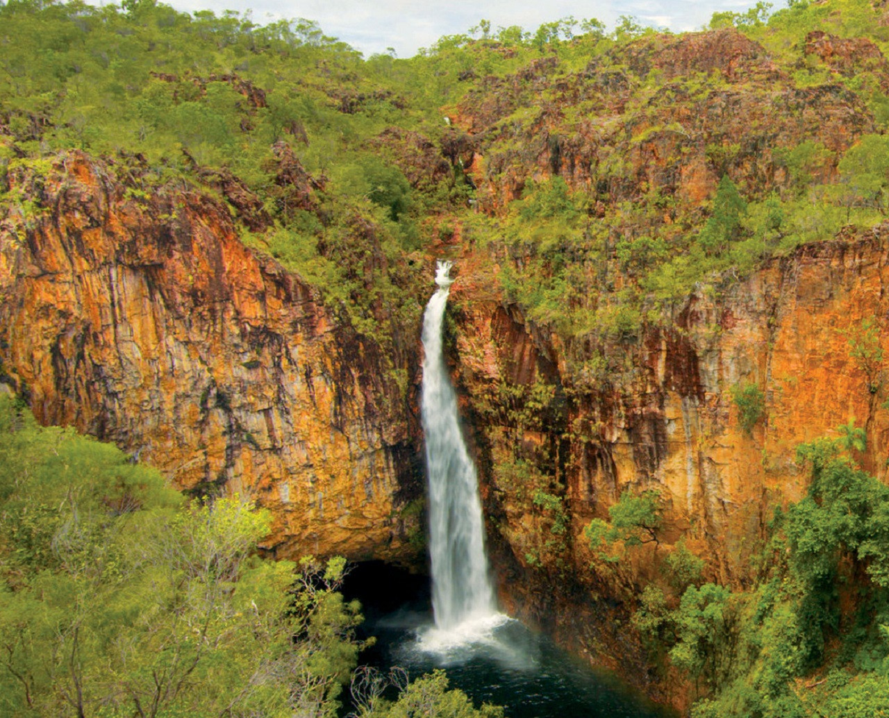 Litchfield National Park and Waterfalls Tour - Photo 1 of 9