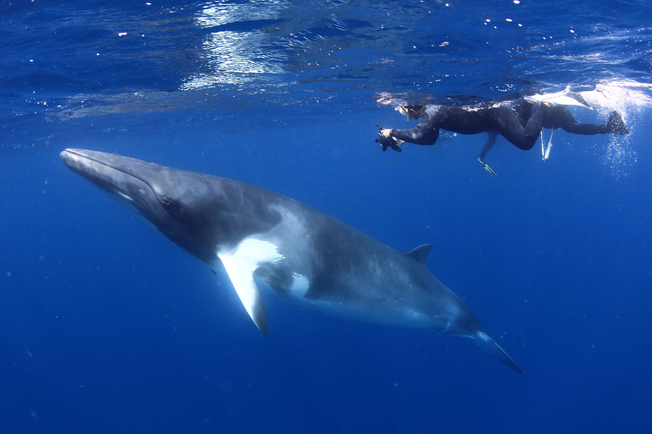 Great Barrier Reef Liveaboard Vessel Overnight Adventure - Photo 1 of 9