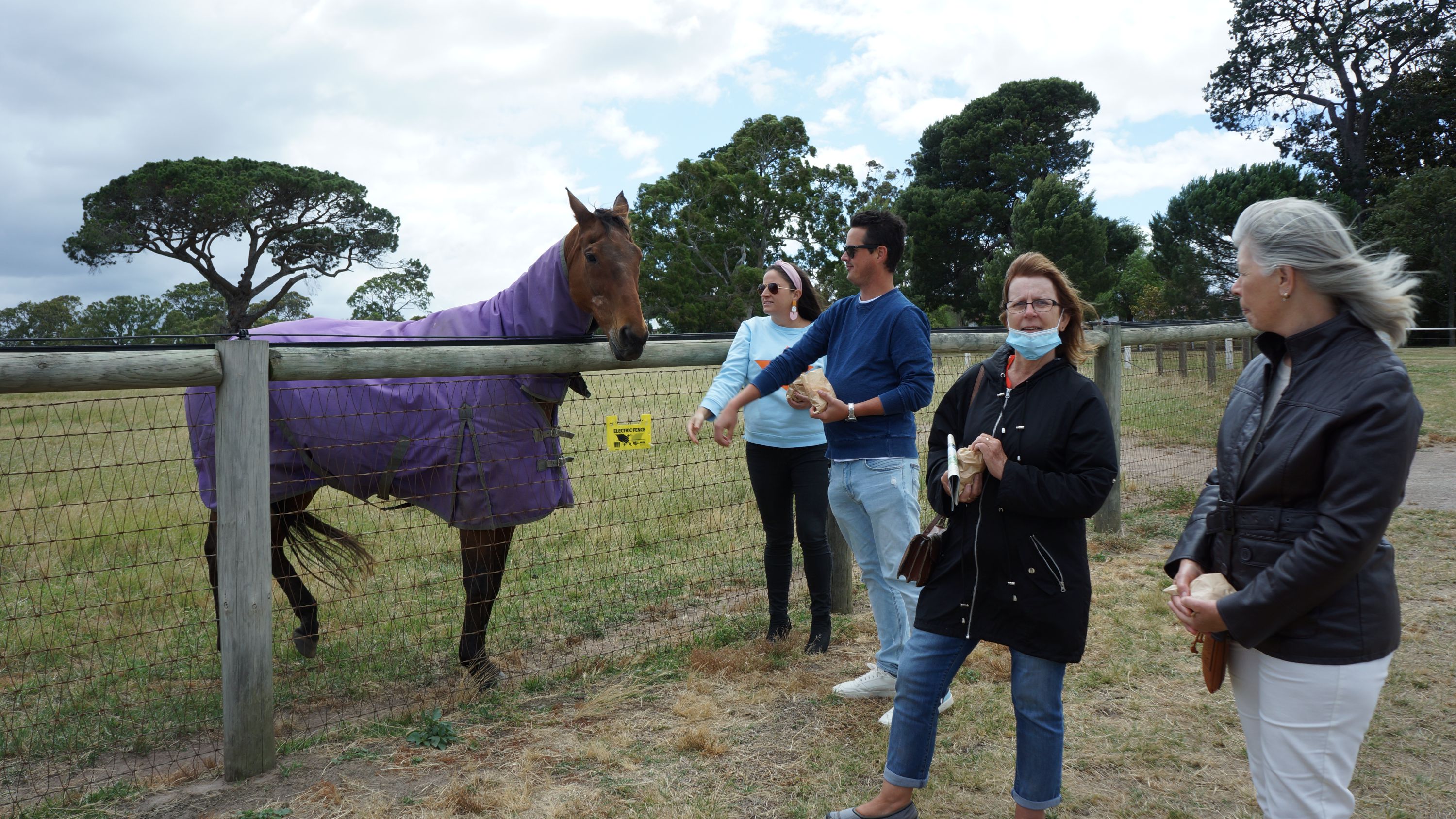 Living Legends Horses, Craft Beer and Wine Tour - Photo 1 of 10