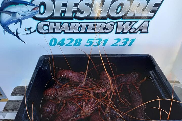 Lobster Fishing Tour at Geraldton - Photo 1 of 8