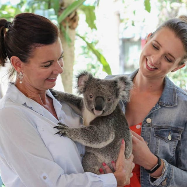 Lone Pine Koala Sanctuary: Entry Ticket - Photo 1 of 4