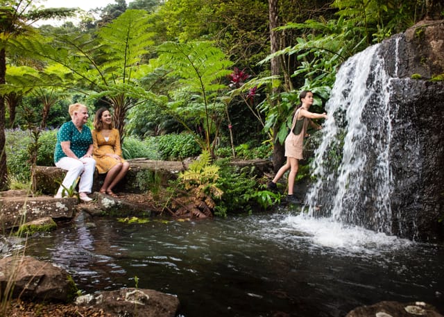 Maleny Botanic Gardens and Rainforest Tour with Lunch - Photo 1 of 10