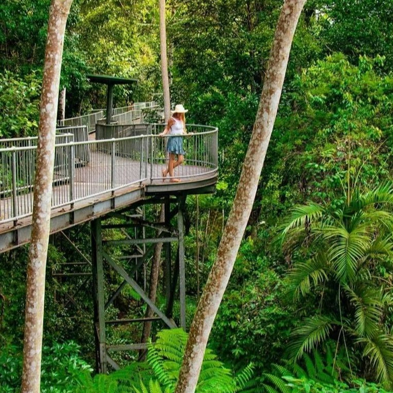 Mamu Tropical Skywalk - Photo 1 of 5