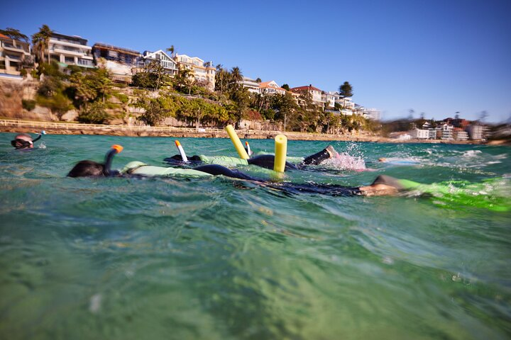 Manly Snorkel Trip and Nature Walk with Local Guide - Photo 1 of 14