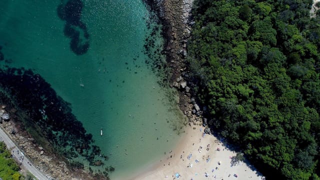 manly-snorkelling-tour-walk-australia-pelago0.jpeg