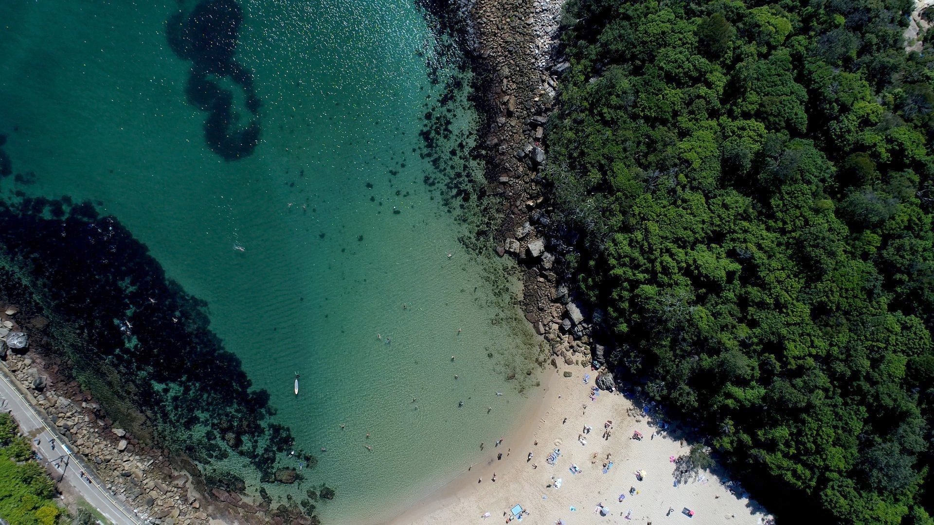 Manly Beach Snorkelling Tour and Headland Nature Walk - Photo 1 of 10