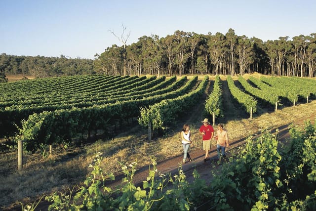 Margaret River: Cave, Wine, Cape Leeuwin Lighthouse & Busselton Jetty Day Tour - Photo 1 of 3