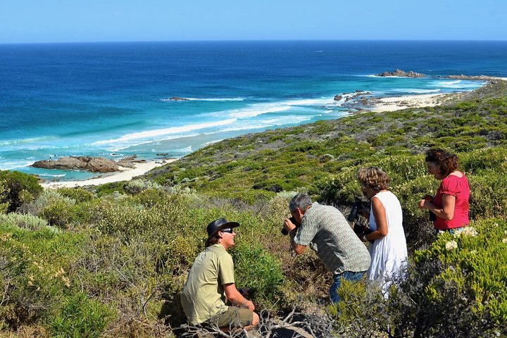 Guided walk on a section of the Cape to Cape Track