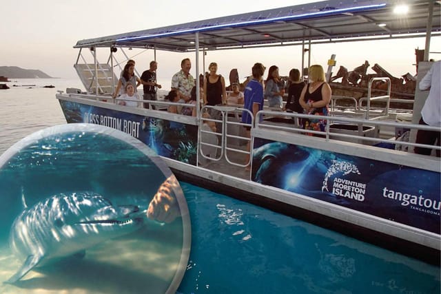 Marine Discovery Day Cruise Upgrade Dolphin Feeding ex Brisbane - Photo 1 of 1