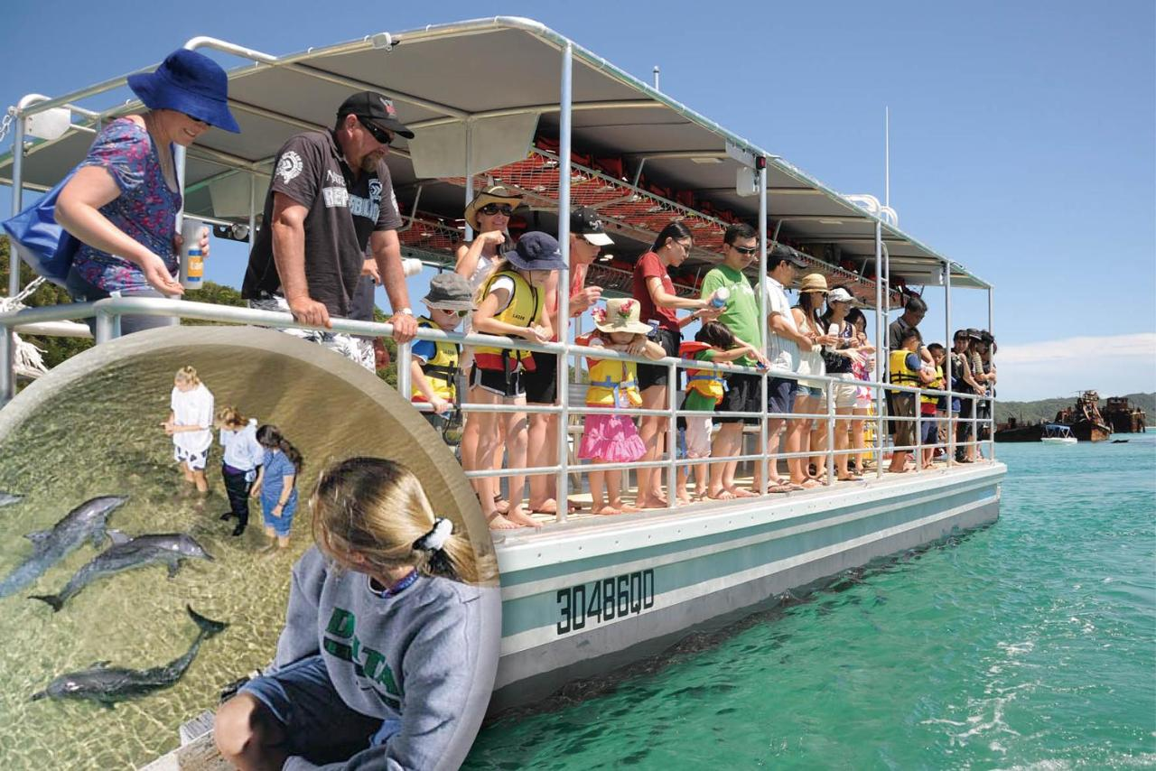 Marine Discovery Day Cruise upgrade Sunset Cocktail inc Dolphin Viewing ex Gold Coast - Photo 1 of 1