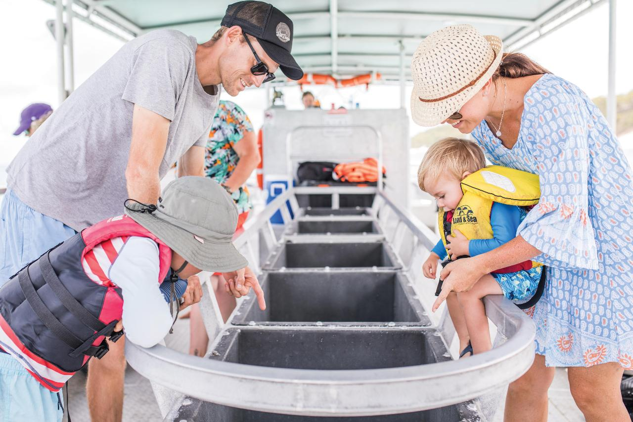 Marine Discovery Day Cruise with Bus Transfers ex Brisbane - Photo 1 of 1