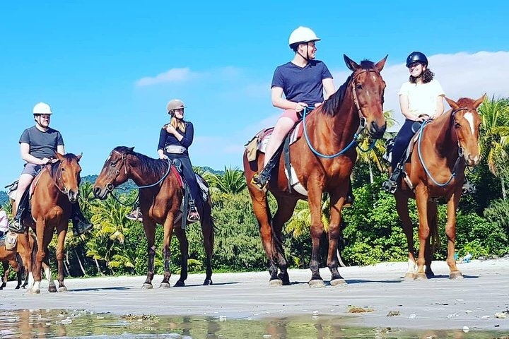 Mid-Morning Beach Horse Ride in Cape Tribulation - Photo 1 of 8