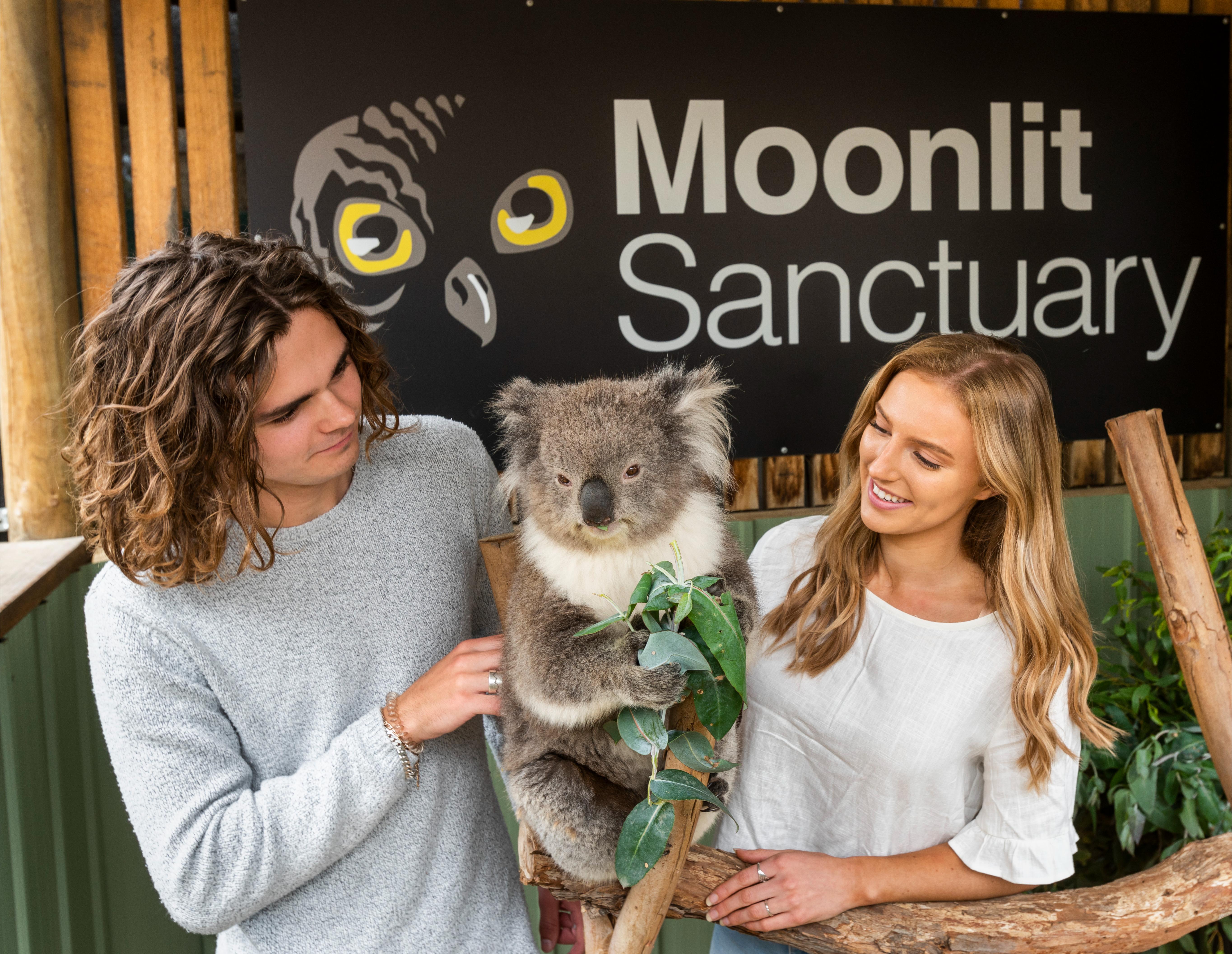 Moonlit Sanctuary Conservation Park Admission Ticket - Photo 1 of 10