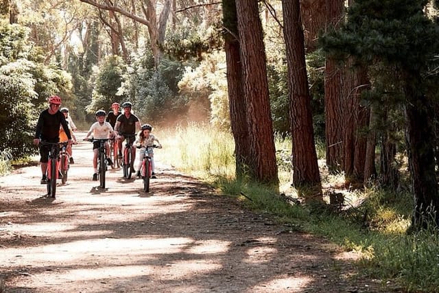 Mornington Peninsula guided e-bike tour - Photo 1 of 8