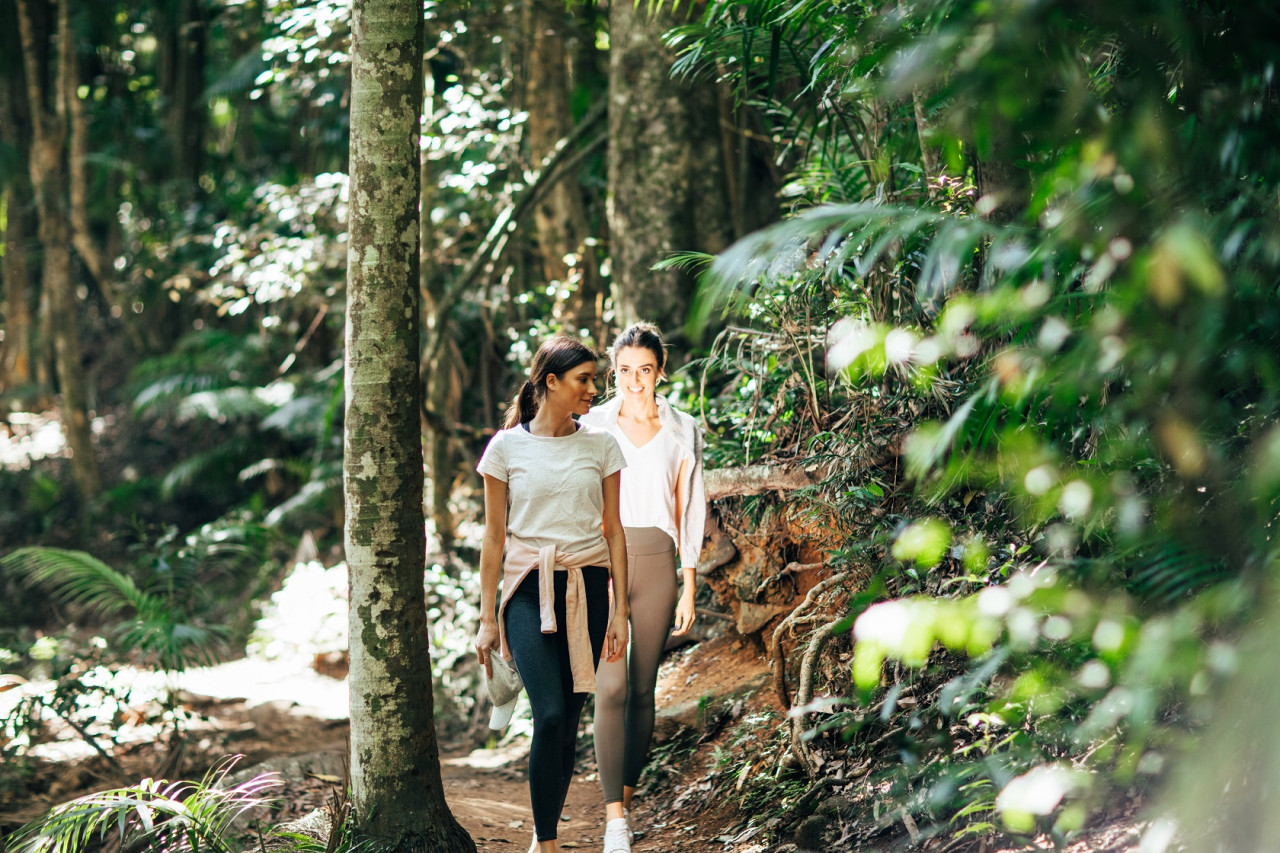 Mount Tamborine Tour - Photo 1 of 25