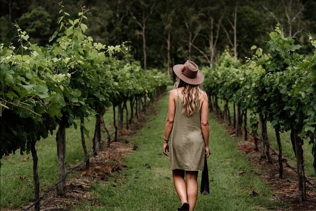 Tamborine Mountain Wine Tour