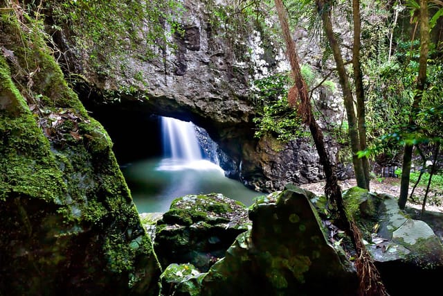 Natural Bridge & Springbrook Waterfalls Tour - Photo 1 of 11