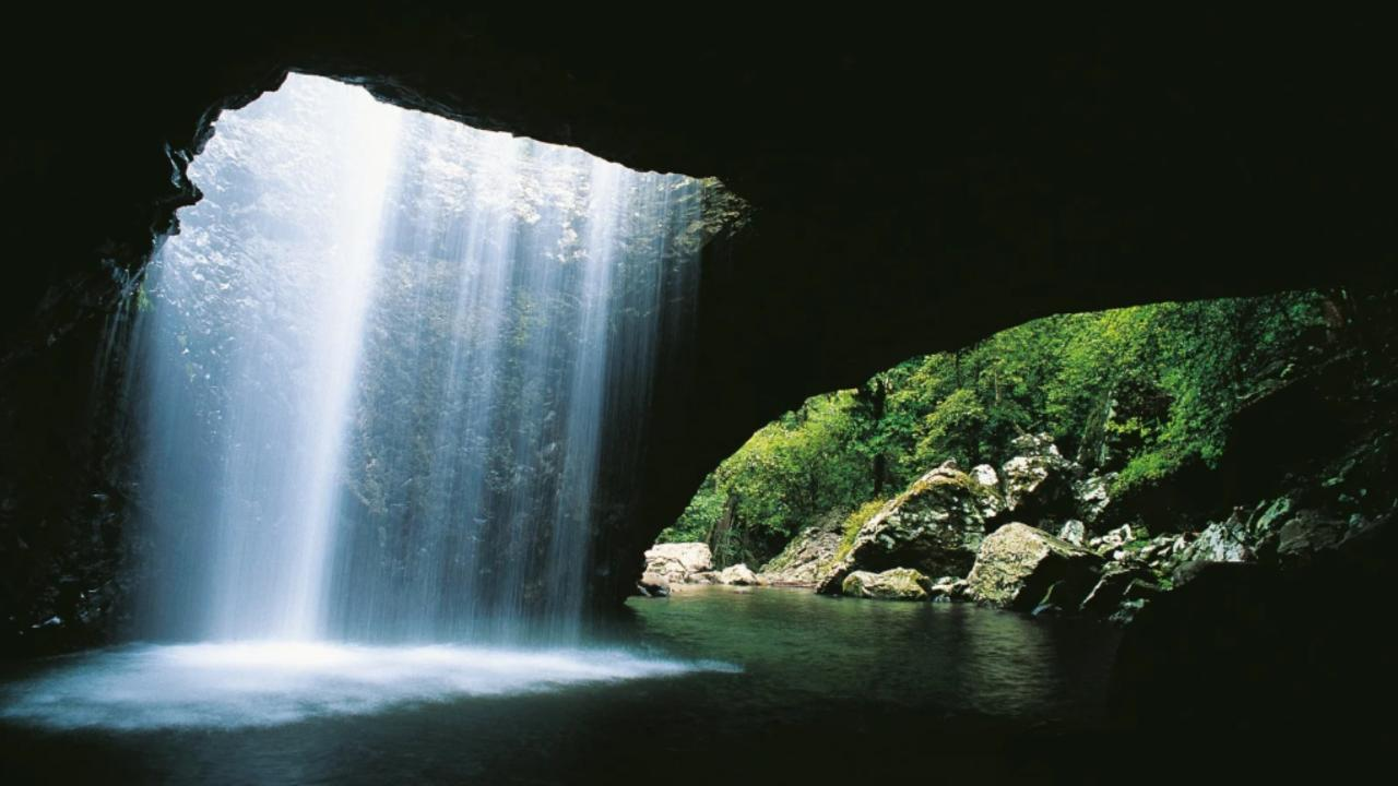 Natural Bridge & Springbrook Waterfalls Tour - Photo 1 of 5