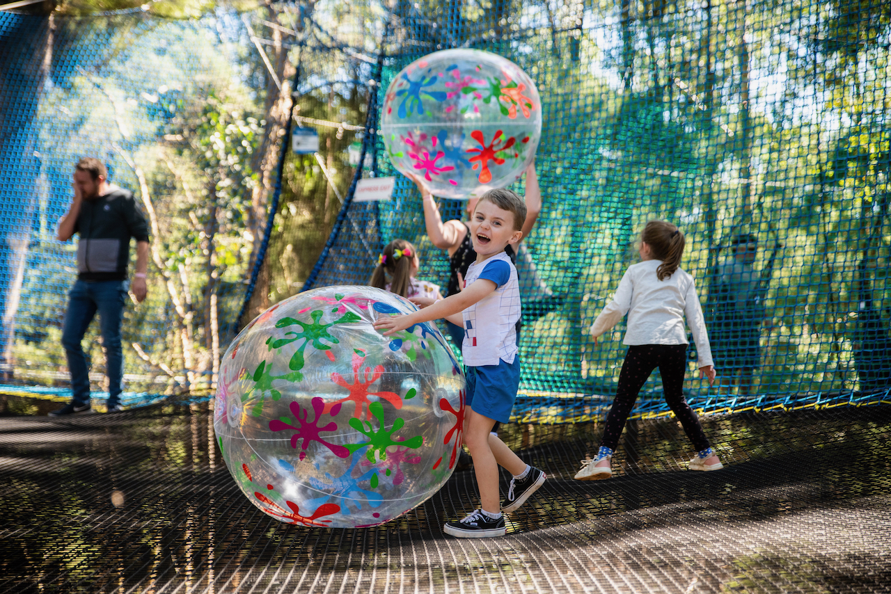 TreeTop NetWorld: Bounce, Play, Discover & Explore! - Photo 1 of 4