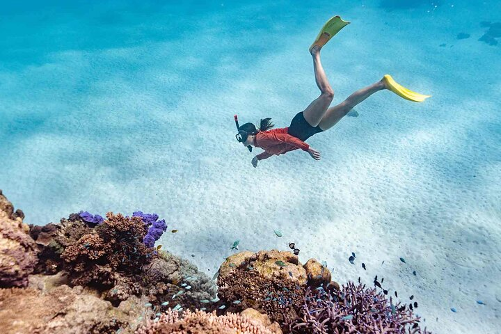 Ningaloo Reef Snorkel Adventure - Photo 1 of 7